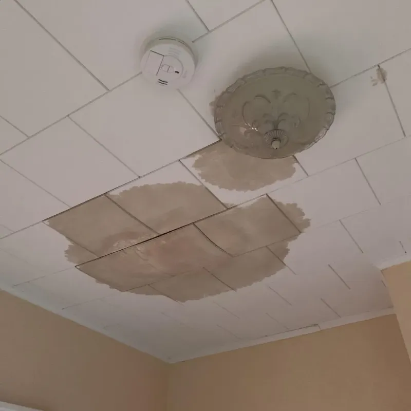 Ceiling Water Damage Repair in Ixonia, WI