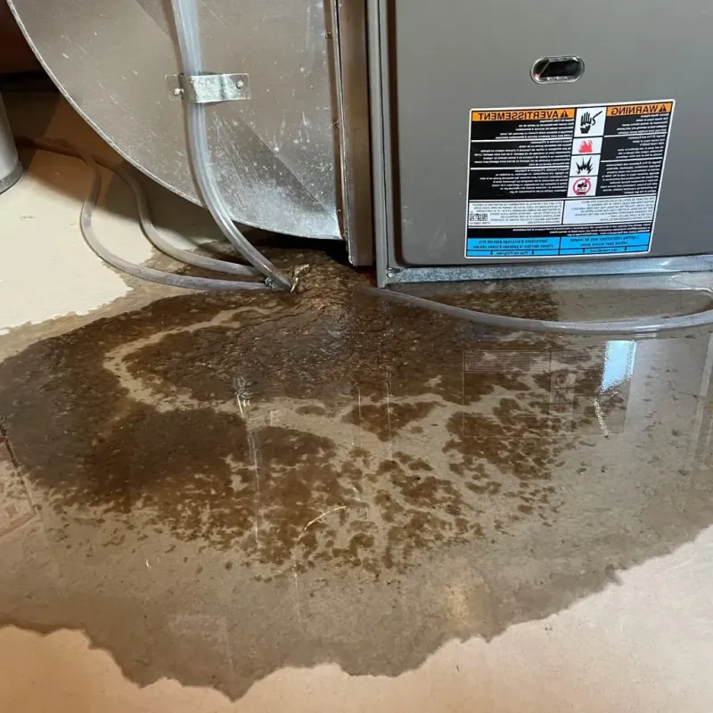 Pipe Burst and Leak Restoration in Ixonia, WI