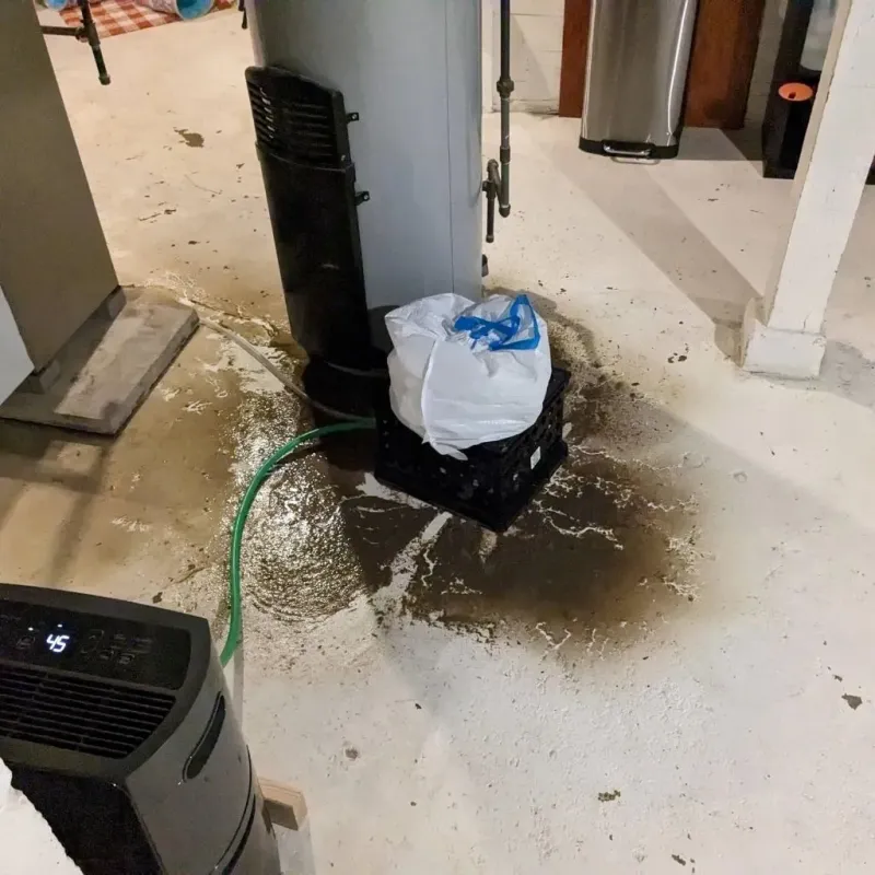 Sewage Backup Cleanup Service in Ixonia, WI